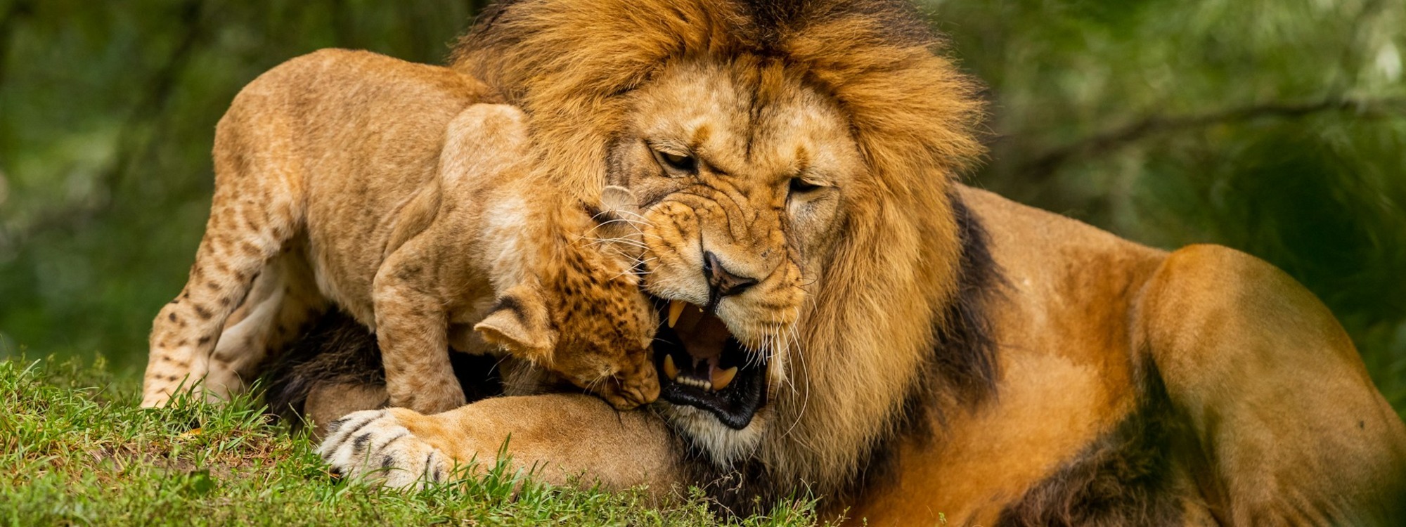 Power and Influence