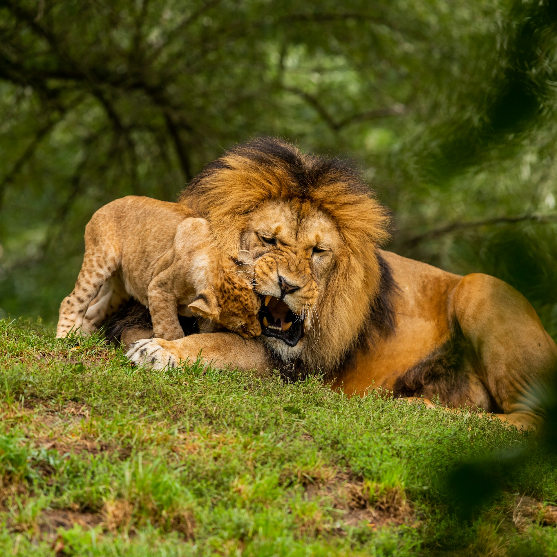 Power and Influence