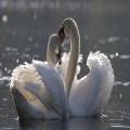 Just Grace - Forgiveness and Accountability at Work (Part 1)