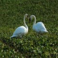 Just Grace - Forgiveness and Accountability at Work (Part 2)