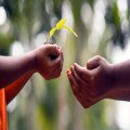 Just Grace: A Generous Perspective