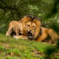 Power and Influence